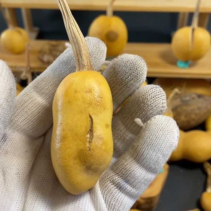 一***布葫芦葫芦真的