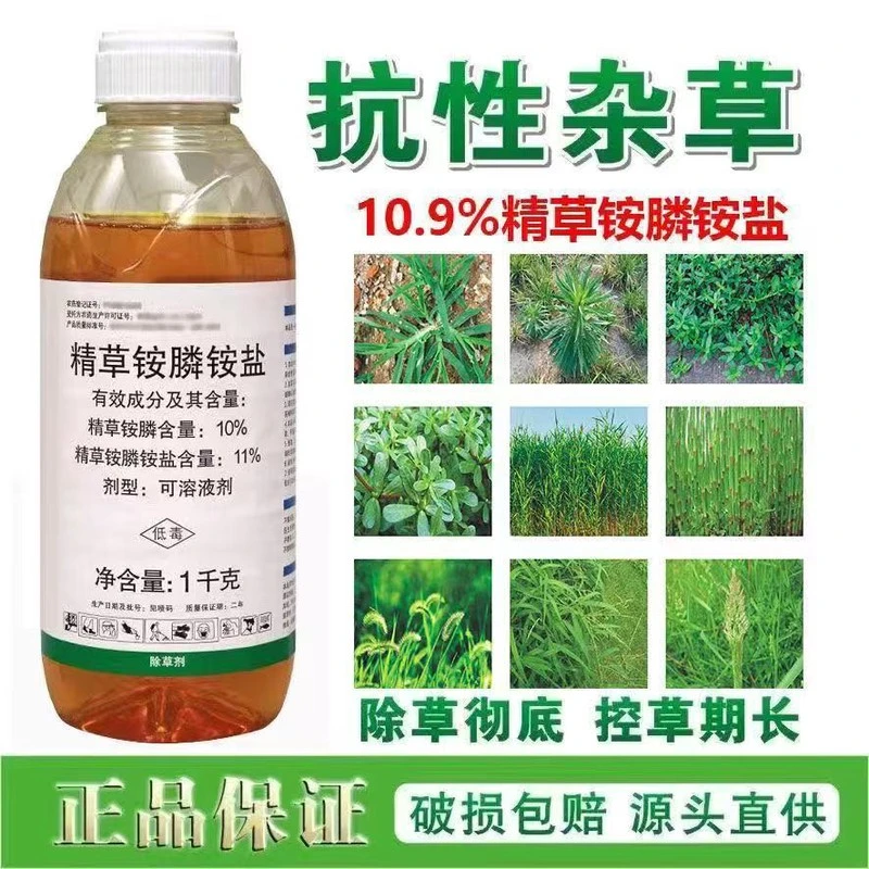 精草铵膦铵盐除草剂连根烂死果园荒地恶性草厂家直销