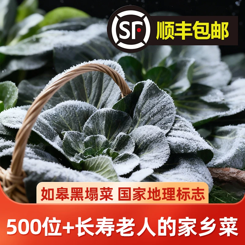 [顺丰包邮]如皋霜打黑塌菜3斤/5斤 农家种植 时令蔬菜 清炒做汤