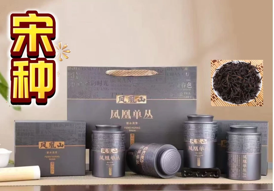 新茶凤凰单枞茶宋种碳焙浓香传统工艺乌龙茶潮州高山茶叶老枞茶