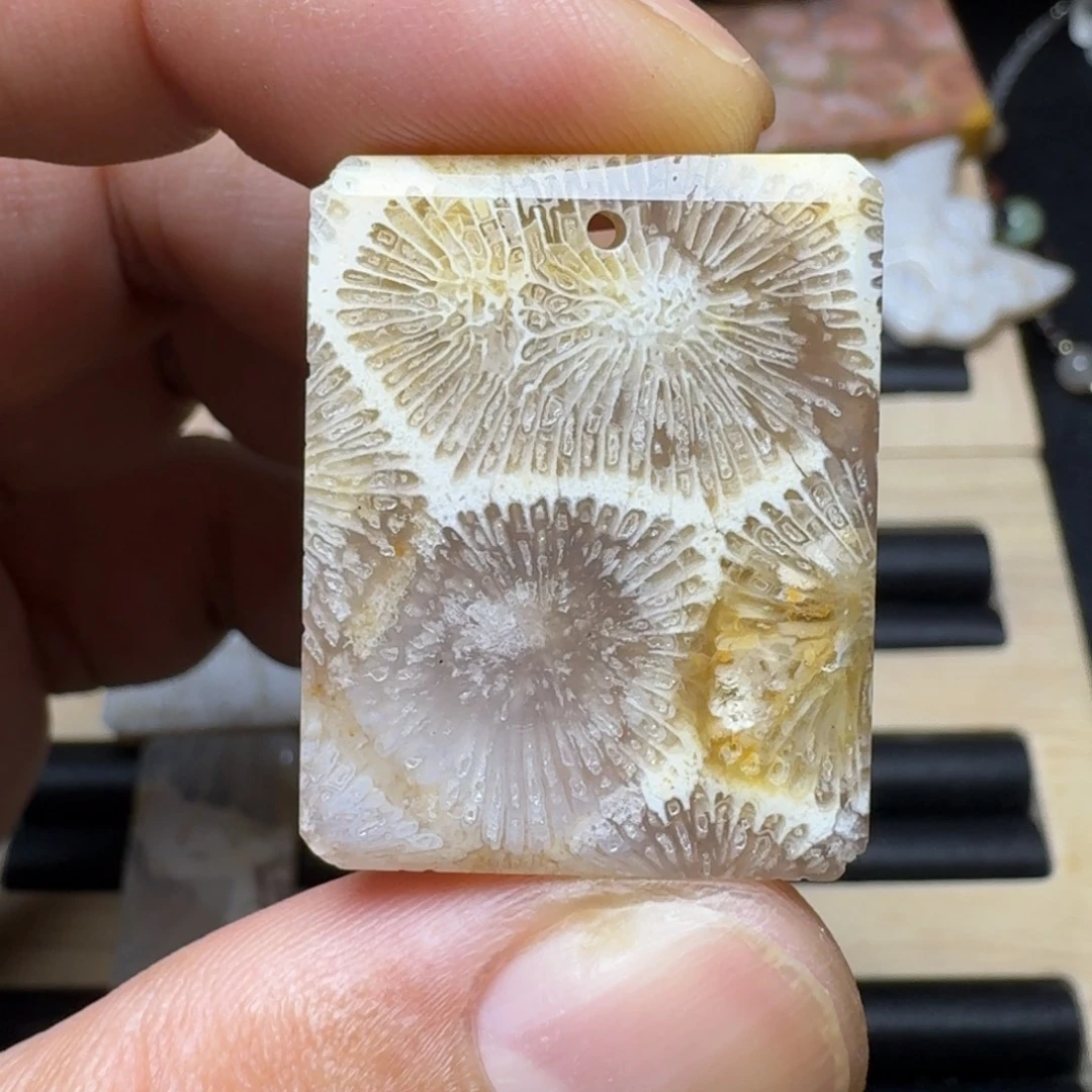 未镶嵌纯天然色有机玉石保真色硅化玉
