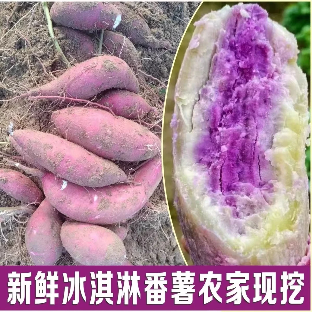 正宗冰淇淋番薯沙地种植一点红地瓜粉糯香甜新鲜现网红当季地瓜
