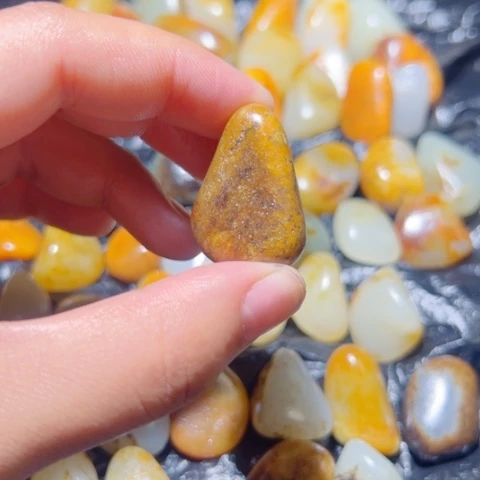 和田玉（子料）未镶嵌颈饰17克