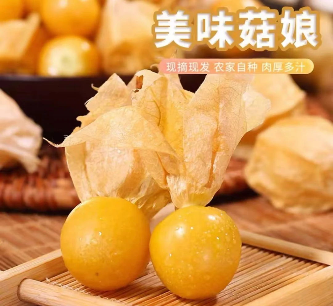 【顺丰包邮】东北姑娘果新鲜采摘