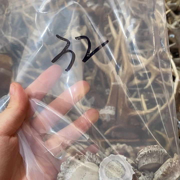 睡***凡石英石非金属鹿角鹿角