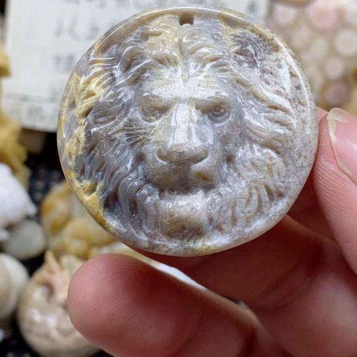 颈饰未镶嵌硅化珊瑚（珊瑚玉）