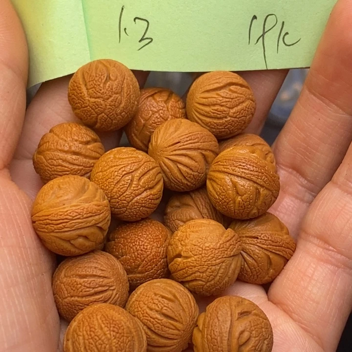 桃核吊坠秦岭龙纹桃核13