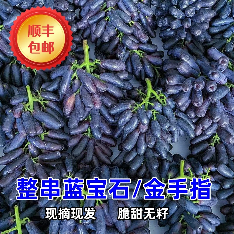 顺丰/京东冷链【蓝宝石葡萄】新鲜金手指美人指葡萄新鲜应当季水果