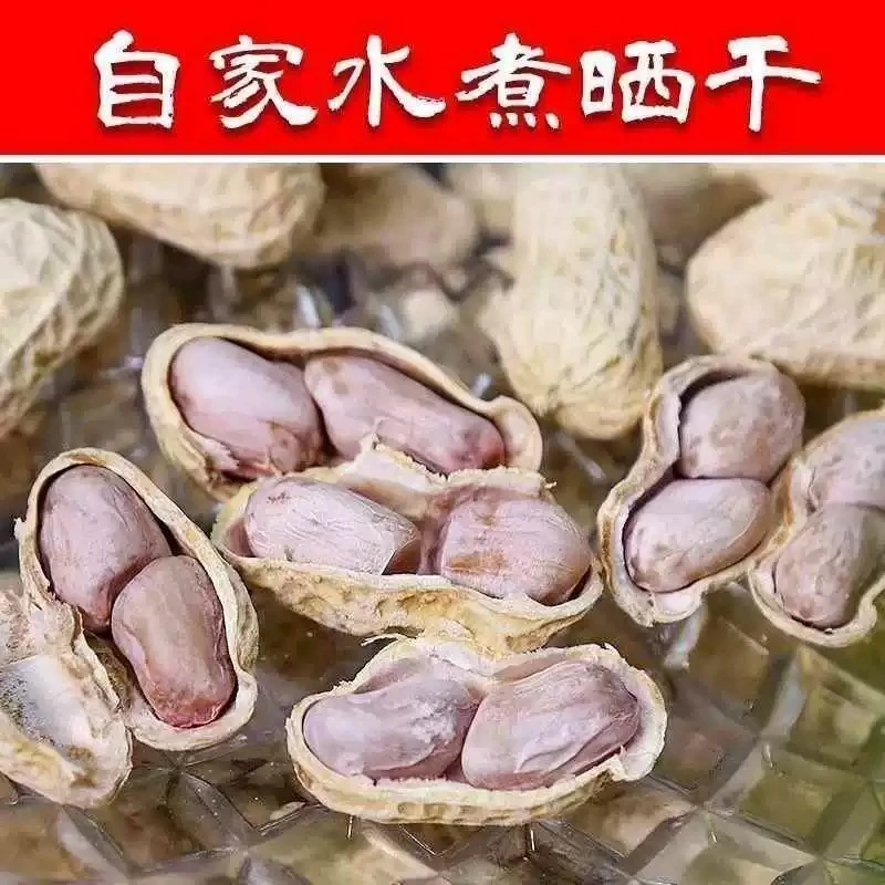 正宗龙岩水煮花生咸干湿烤带壳袋装零食福建特产