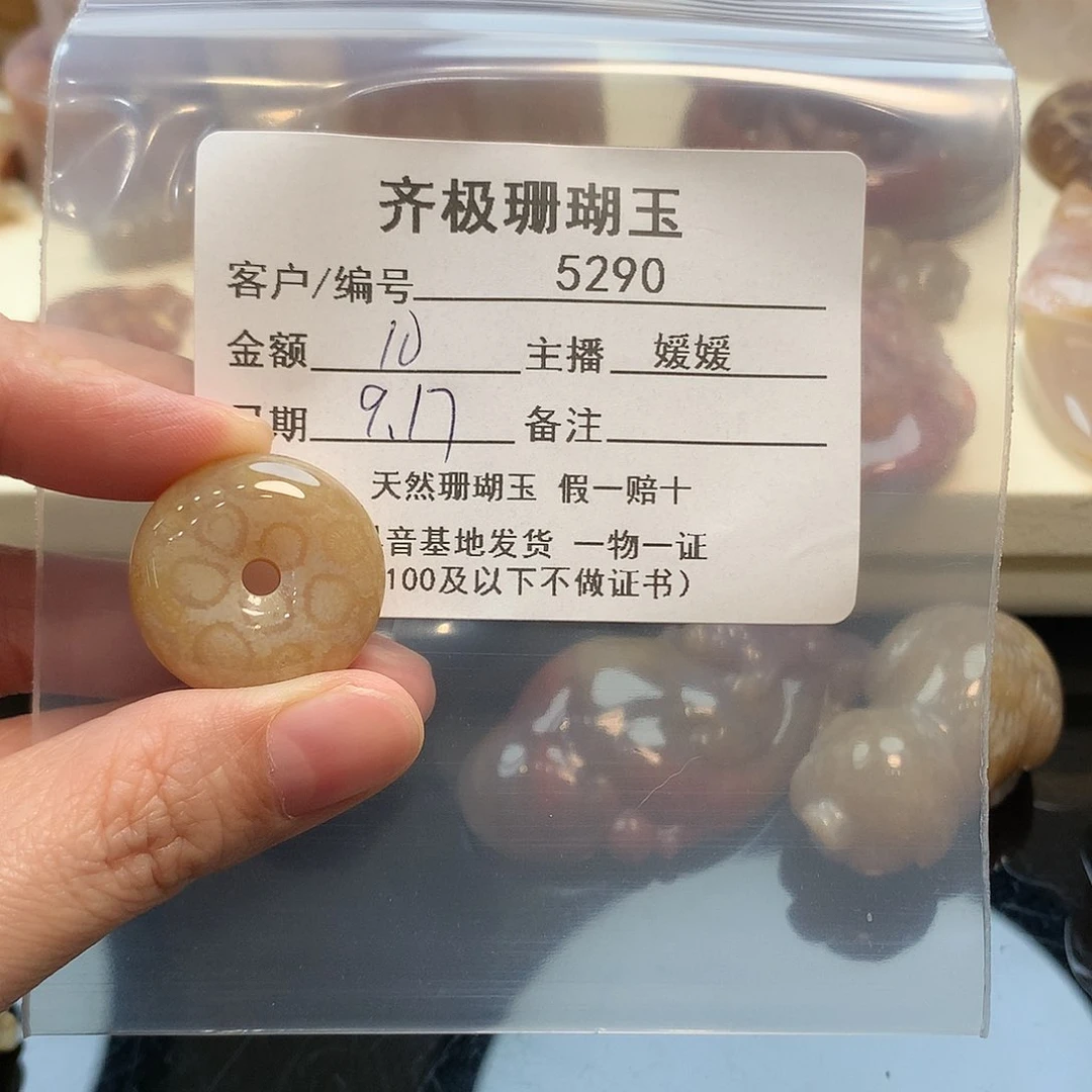 颈饰未镶嵌硅化珊瑚（珊瑚玉）乘*