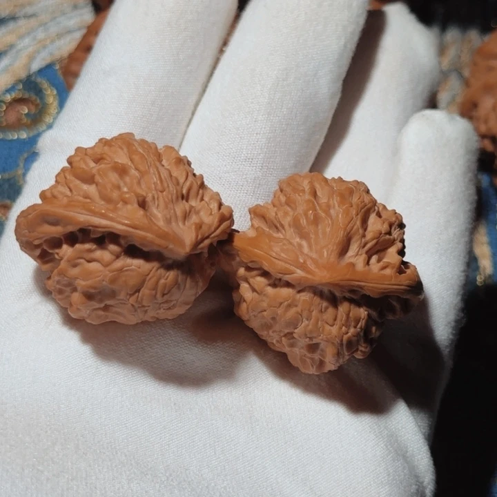 清**年苹果园飞蛇34尺寸