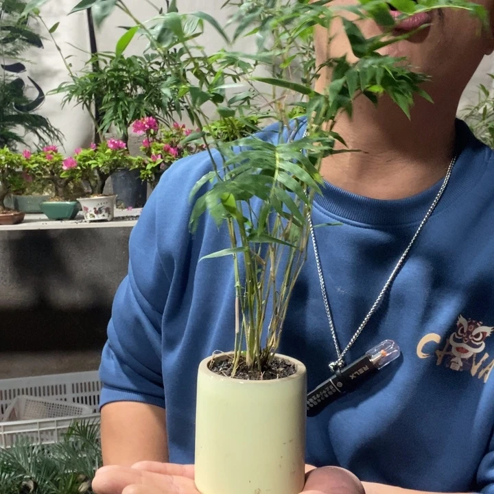 以实际为准退款拉黑拉黑54