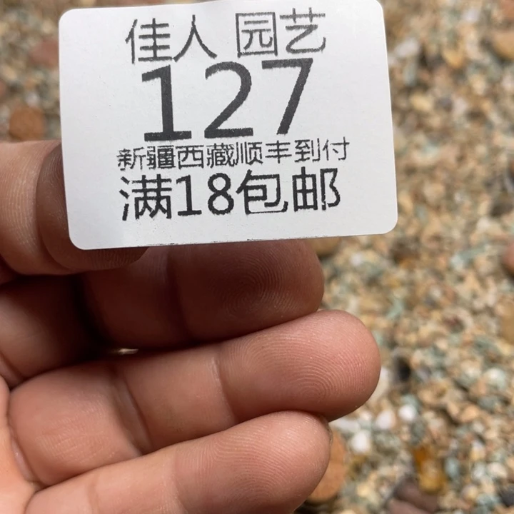 ?*饼烧饼和我一起吃饭吧127