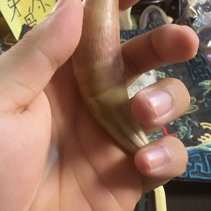 大哥专拍链接一号