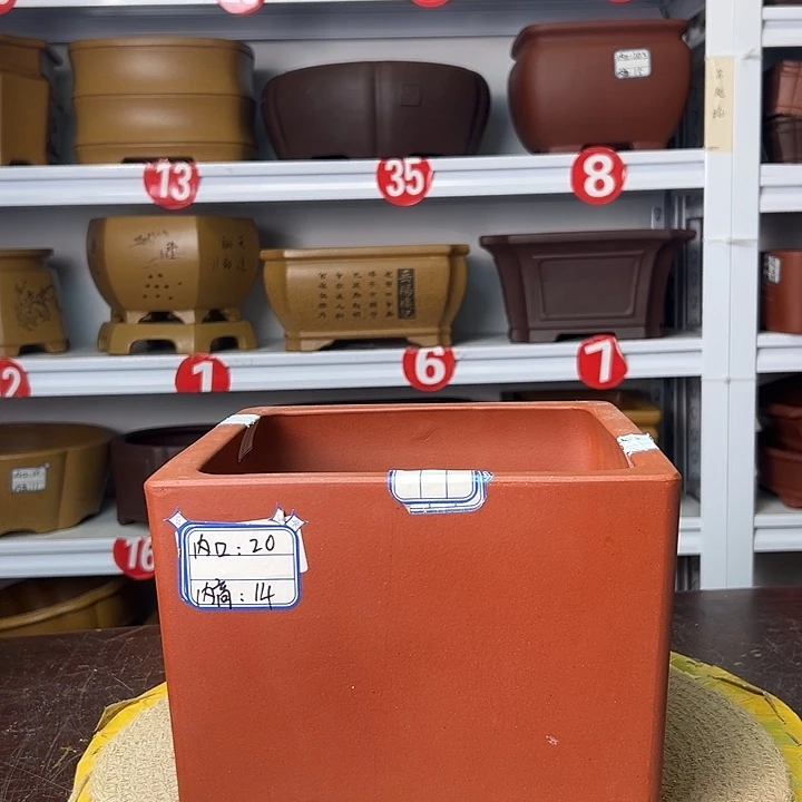 紫砂花盆你在一起