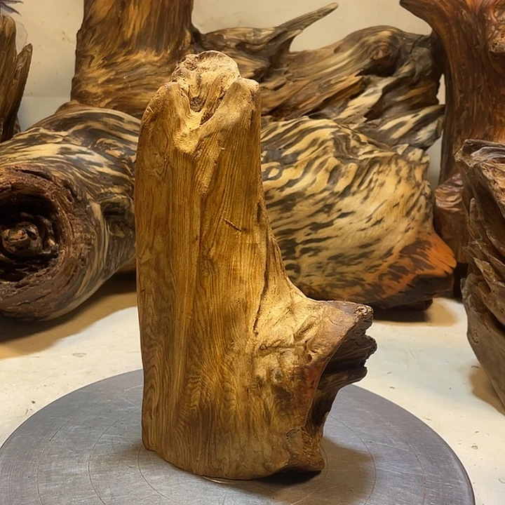 无***哥木直播间一物一拍