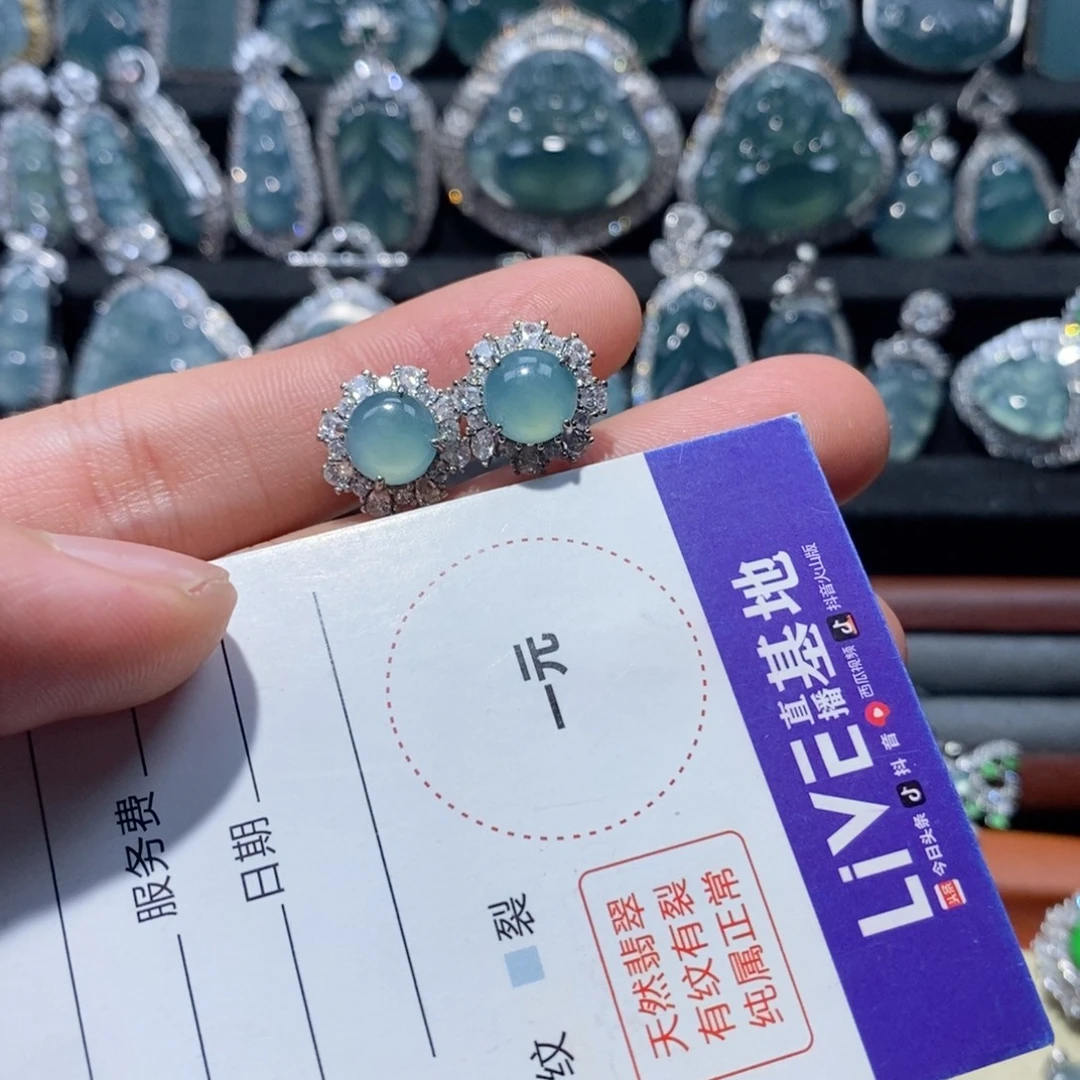 Y***.翡翠未镶嵌颈饰翡翠