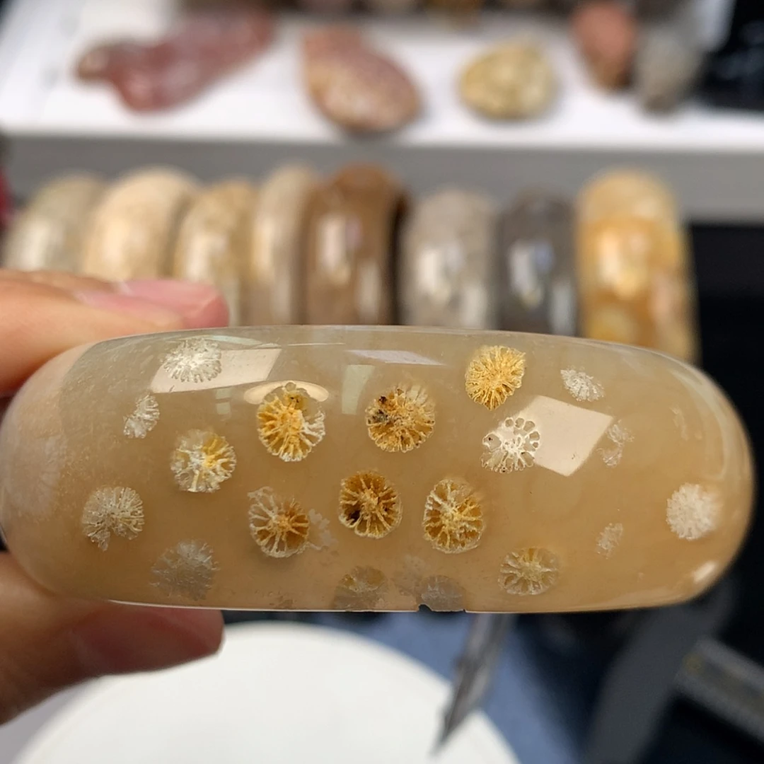 【闪购商品】硅化珊瑚（珊瑚玉）手镯未镶嵌手镯上新55.2（20号）