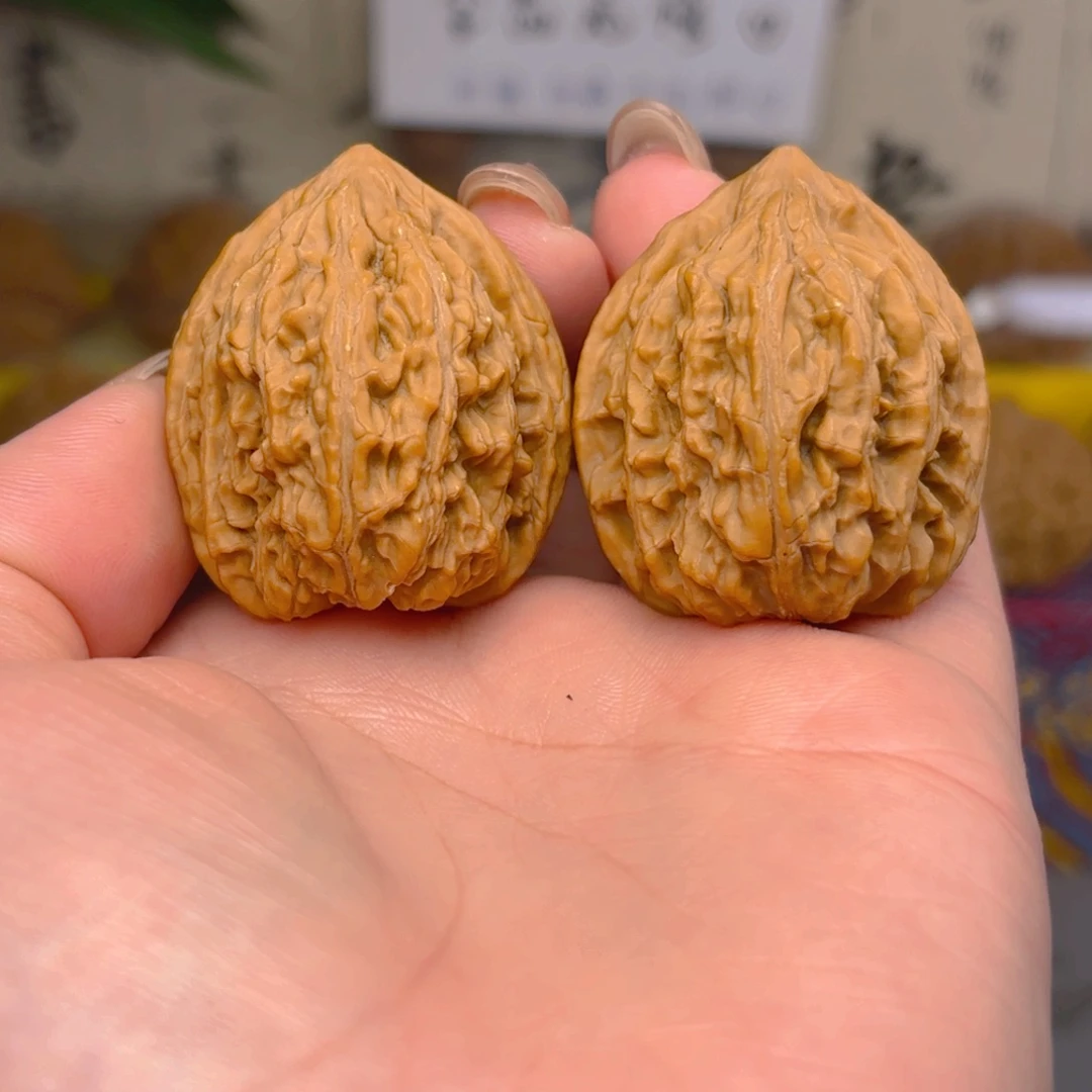 城***墨野生小红豆三十四尺