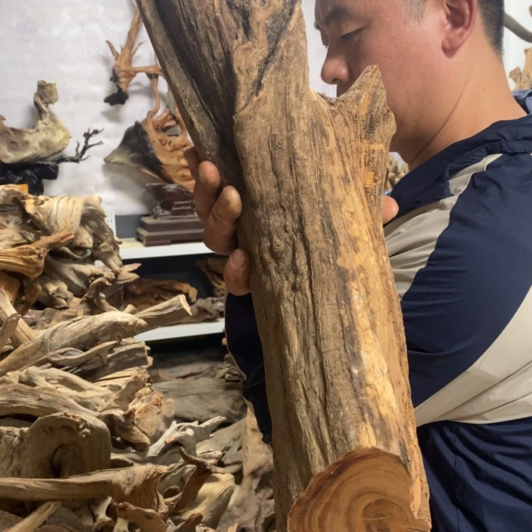 柏木仟*我们都是好孩子