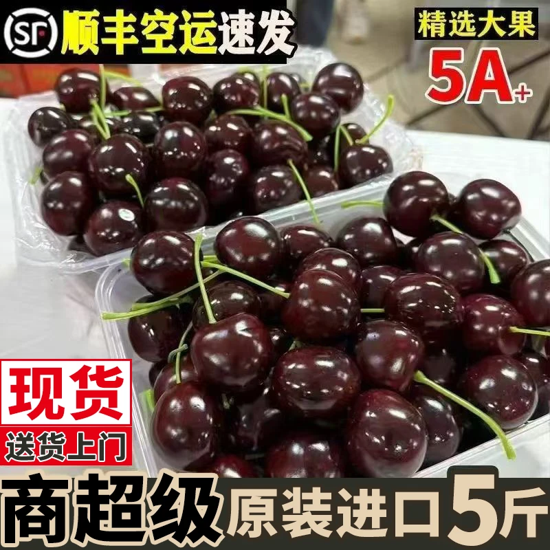 [顺丰空运]智利空运进口车厘子J-4J桑提娜新鲜当季水果内附果径卡