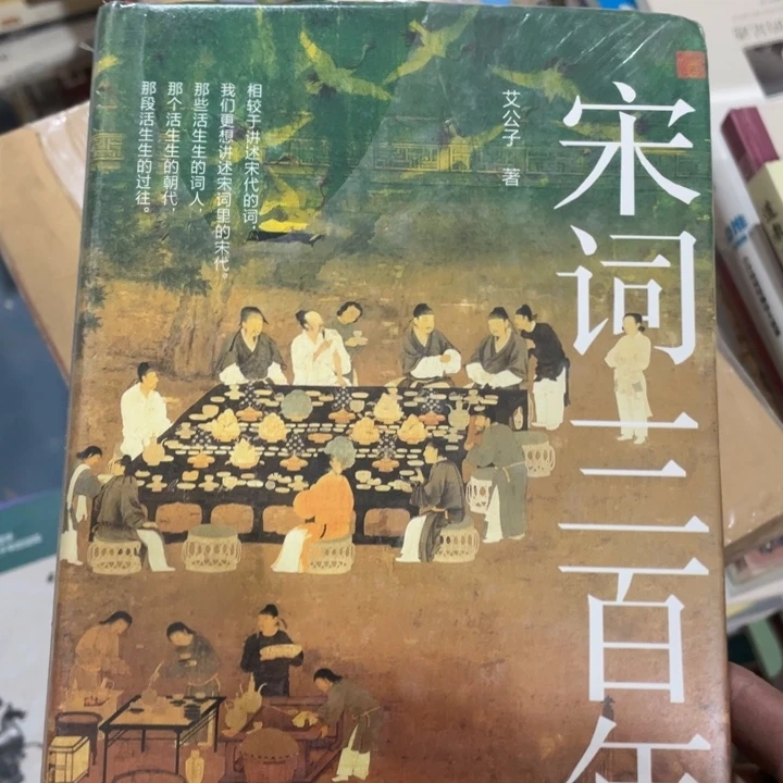 宋词三百年精装书籍