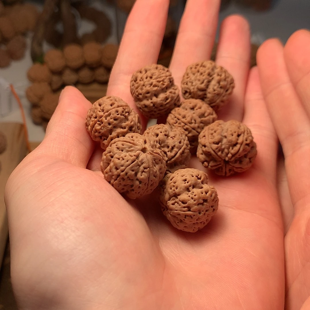 金刚菩提手串?****21龙牙梅花超头