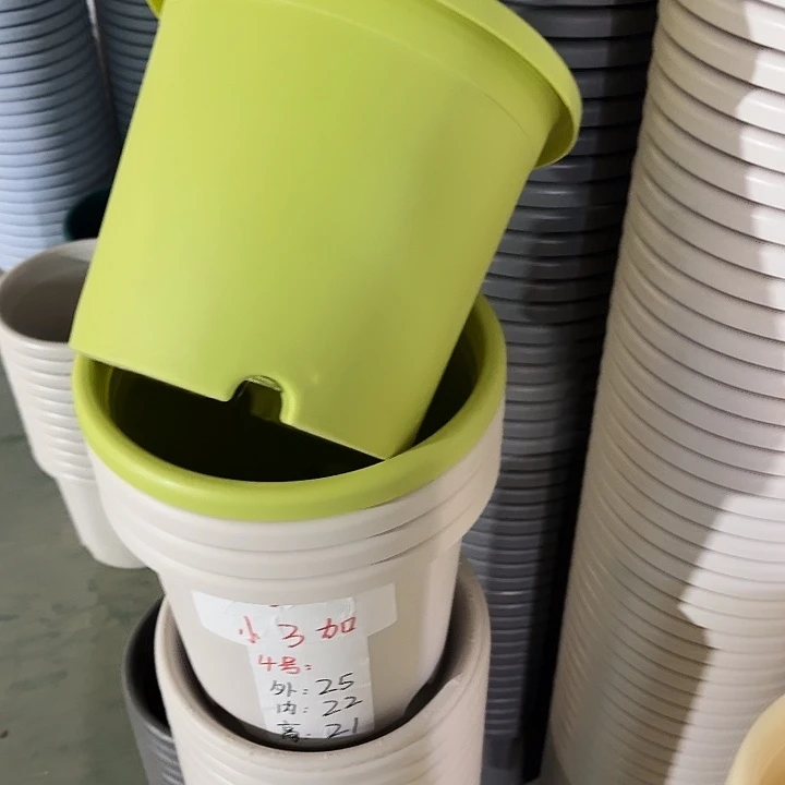 四季4#口径25果绿8个无托