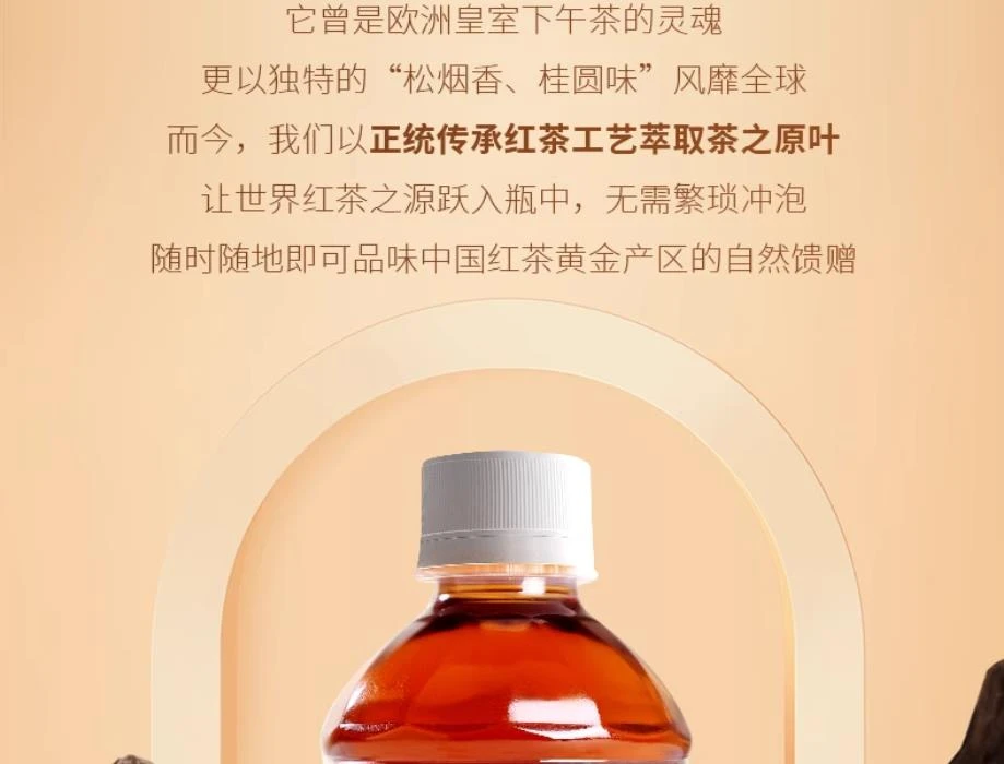 Z·小种纯茶原叶饮料0糖0负担茶饮料自饮 门店同款·正品保真！