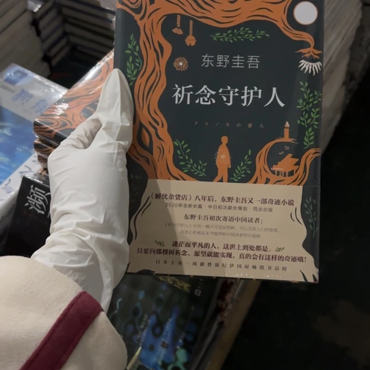 歧念守护人 闪购师傅12