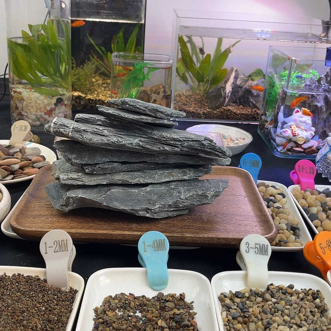 一物一拍5快片岩石