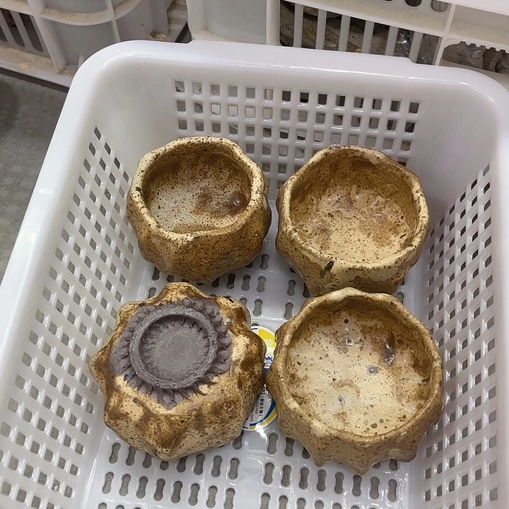 福利待遇多多哦哦哦