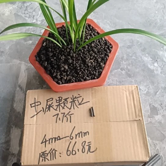 百***樱兰菌黑山土虫屎颗粒7.7斤
