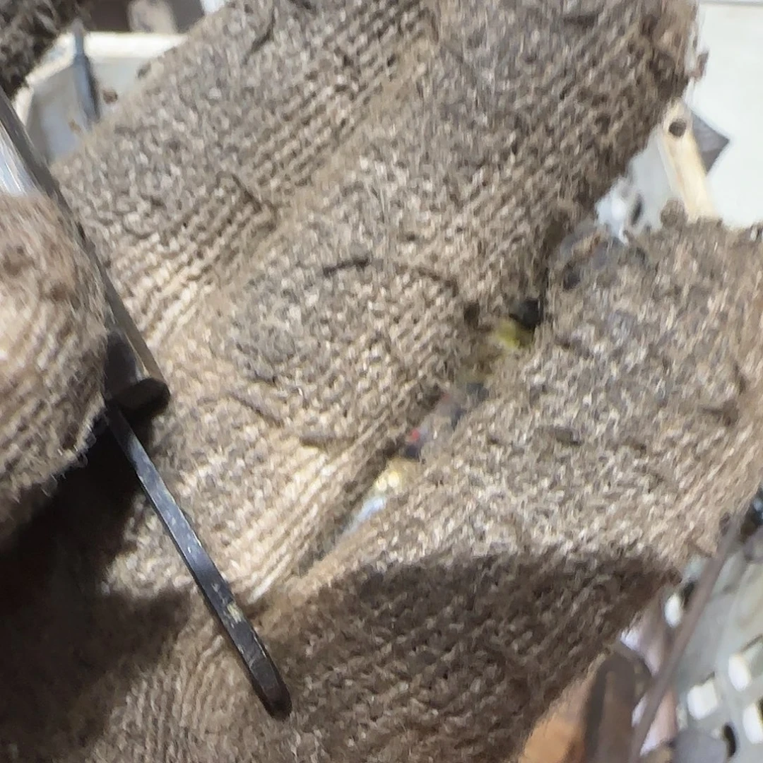 通***3一物一图看好在拍