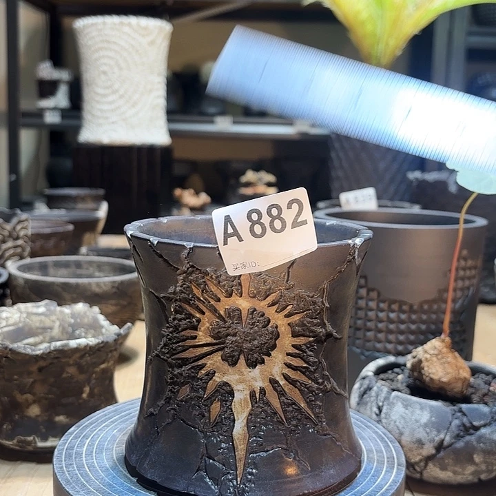 福利内口11高11.5块根植物盆