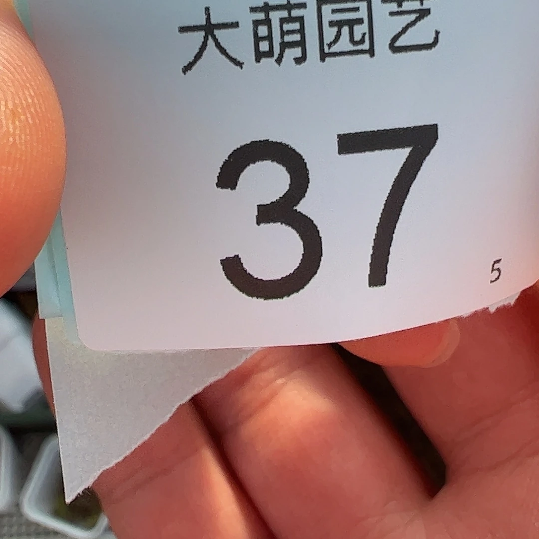 流*瑶000037 一物一拍……