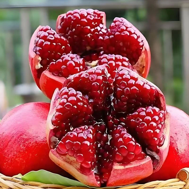 云南当季新鲜多汁软籽石榴营养美味水果【云仓发货】