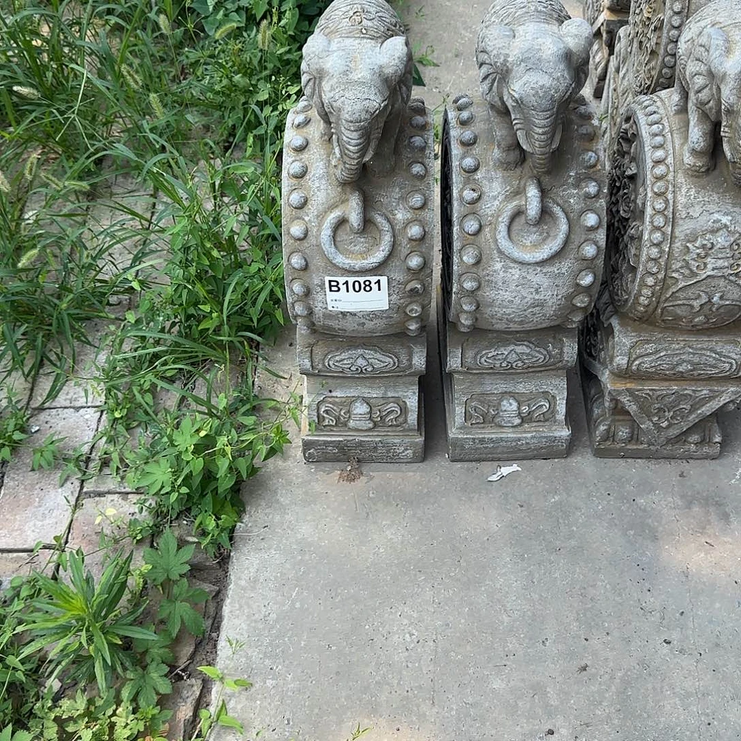 秋***3直接去拍就行了哥