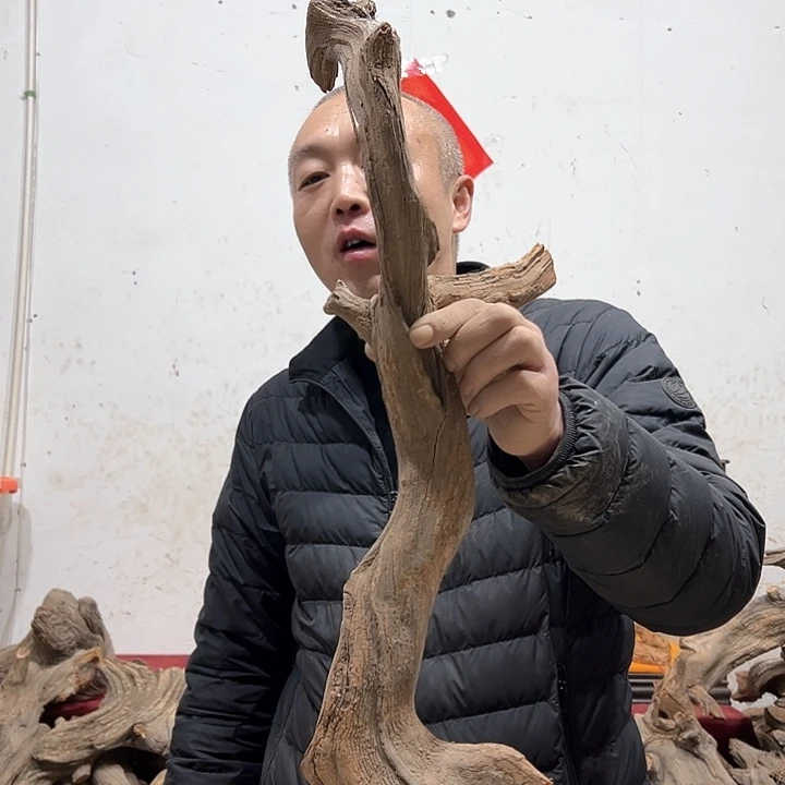 柏木刚*好我们的生活也是如此