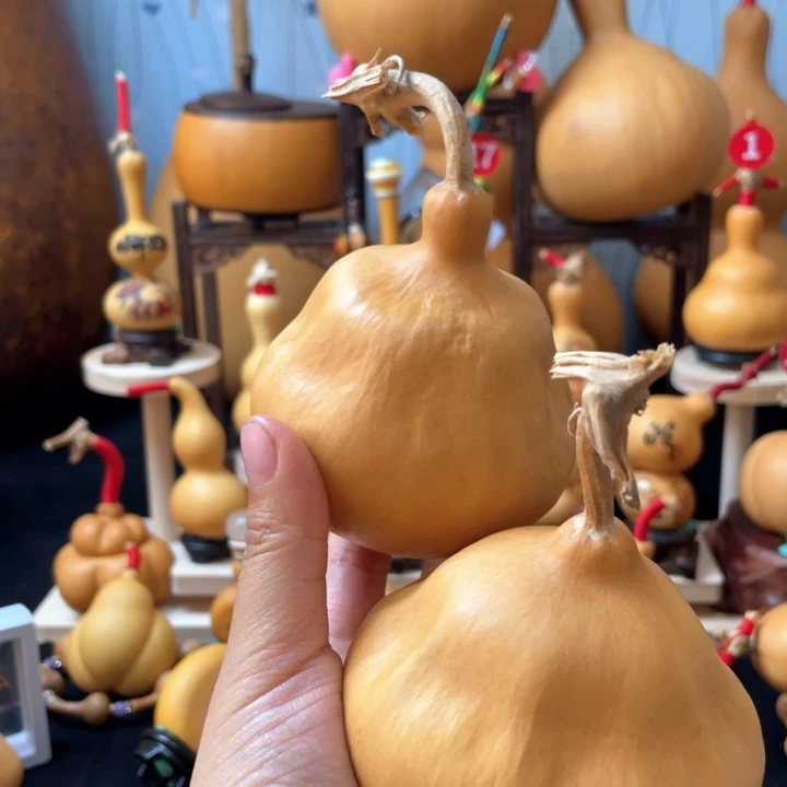 用****5葫芦岛市……哈吉登不在不