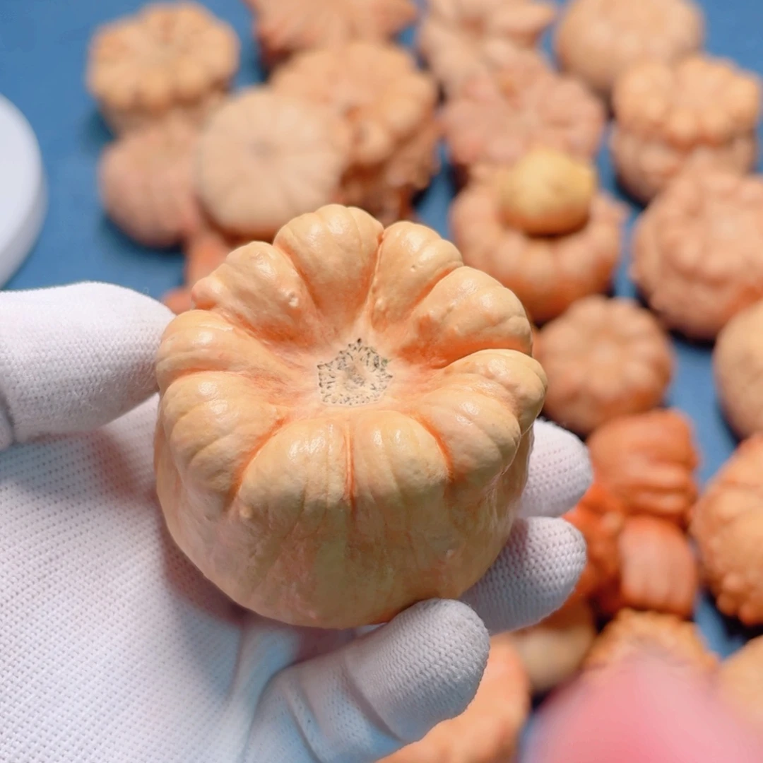 软***师葫芦墨西哥七彩疙瘩葫芦