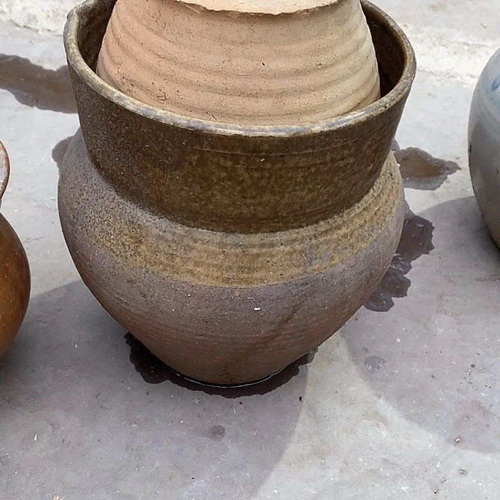 种草种菜种花种树种花