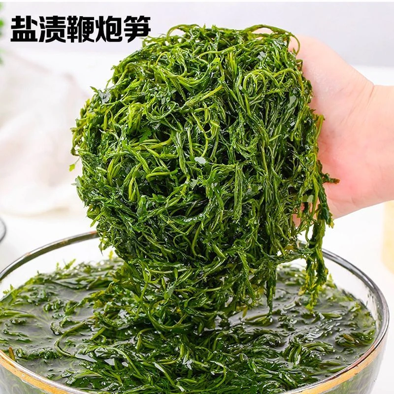 盐渍鞭炮笋海藻菜火锅食材可凉拌的美味马尾藻