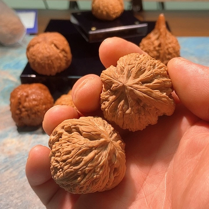 文玩核桃把件40蛟龙，点修