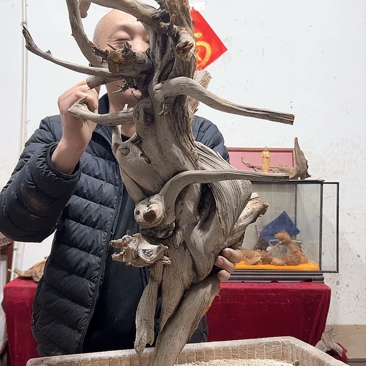 柏木潇***下我们都是好孩子呀我也