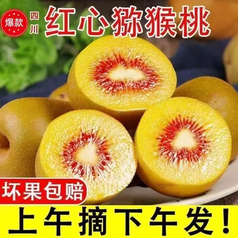 【催熟食用】正宗四川浦江红心猕猴桃应季水果奇异果