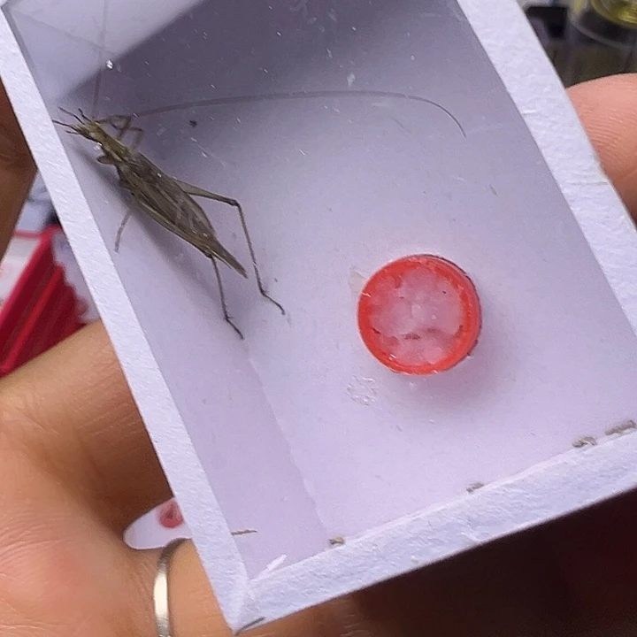 程***哈哈哈哈哈哈哈哈哈哈哈