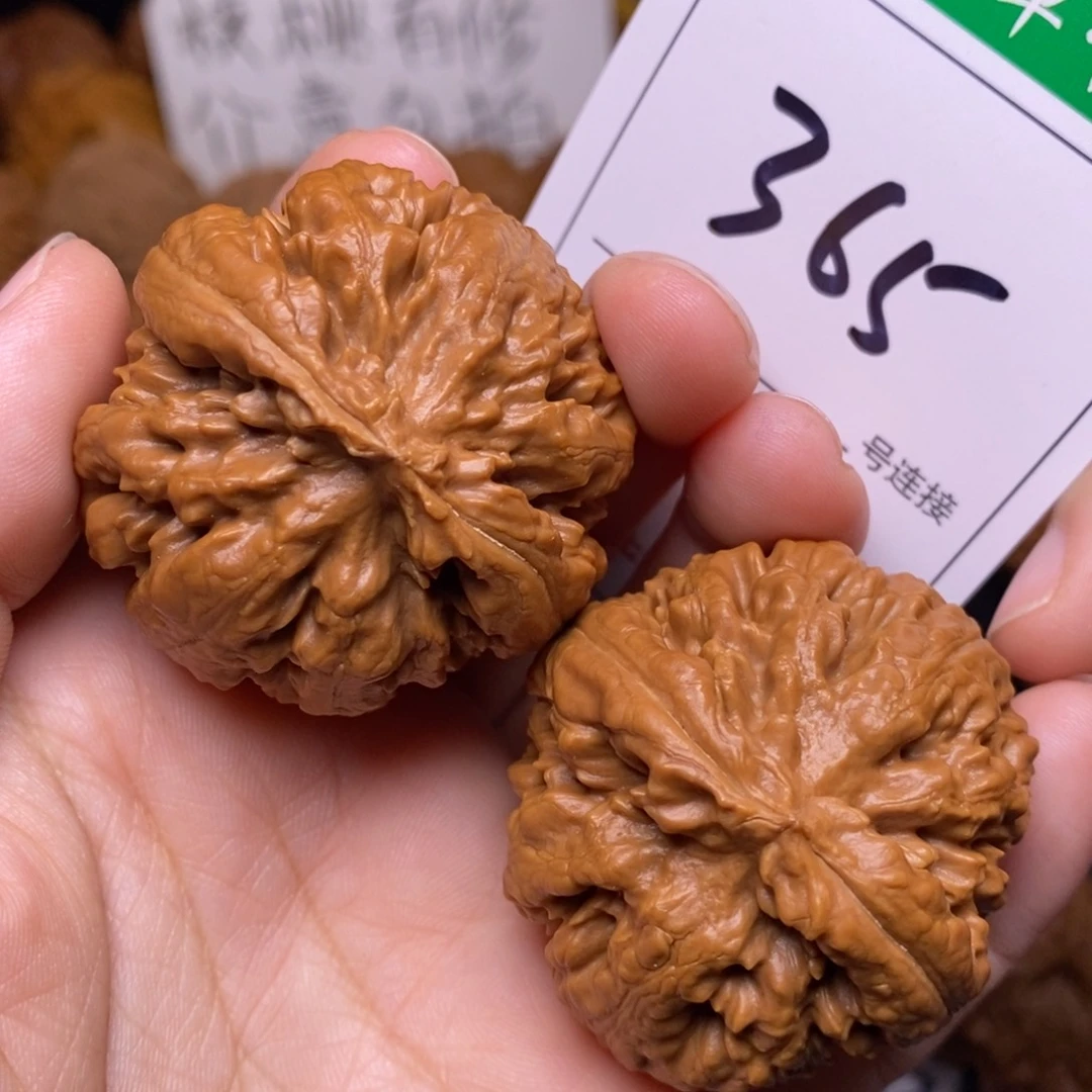 把件文玩核桃365霸王龙4.1