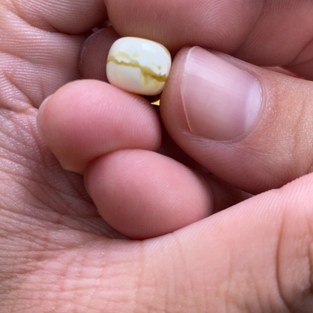 飞***扬蜜蜡未镶嵌裸石配饰
