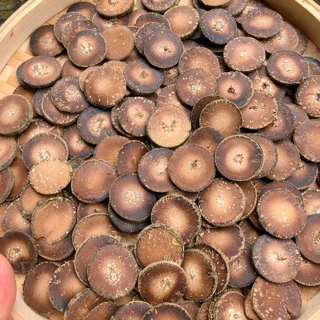 【跑山娃甄选】 化州橘红雪花片【9月10日】